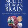 Nolte’s The Human Brain: An Introduction to its Functional Anatomy, 7th Edition (ORIGINAL PDF from Publisher)