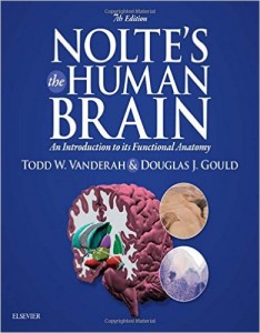 Nolte’s The Human Brain: An Introduction to its Functional Anatomy, 7th Edition (ORIGINAL PDF from Publisher)