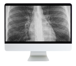 ARRS Case-Based Imaging Review Online Course 2022 (Videos)