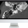 Deep Dive into Head and Neck Radiology 2020 (Videos)