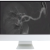 ARRS Case-Based Subspecialty Review 2021 (Videos)