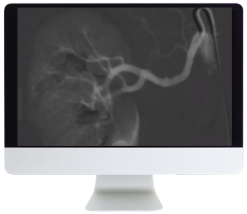 ARRS Case-Based Subspecialty Review 2021 (Videos)