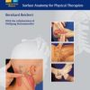 Palpation Techniques: Surface Anatomy for Physical Therapists (Original PDF from Publisher)