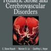 Pediatric Stroke and Cerebrovascular Disorders, 3rd Edition