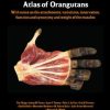Photographic and Descriptive Musculoskeletal Atlas of Orangutans (Original PDF from Publisher)