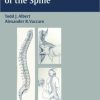 Physical Examination of the Spine (Original PDF from Publisher)