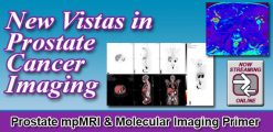 New Vistas in Prostate Cancer Imaging 2022 (Videos)