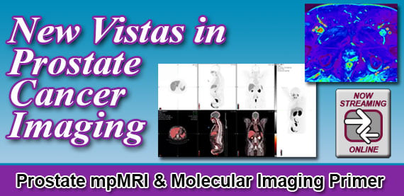 New Vistas in Prostate Cancer Imaging 2022 (Videos)