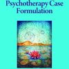 Psychotherapy Case Formulation