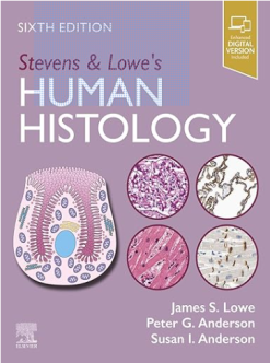 Stevens & Lowe’s Human Histology, 6th Edition (True PDF from Publisher)
