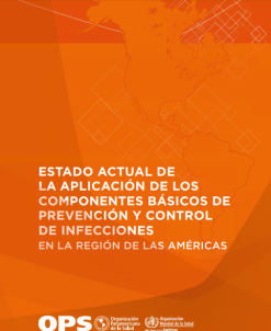 Estado actual de la aplicación de los componentes básicos de prevención y control de infecciones en la Región de las Américas (Spanish Edition) (Original PDF from Publisher)
