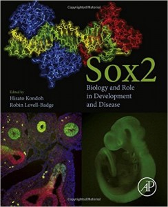 Sox2: Biology and Role in Development and Disease