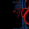Mayo Clinic Echo Imaging in Colorado Including Multimodality Imaging: Ski Telluride 2023 (Videos)