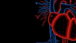 Mayo Clinic Echo Imaging in Colorado Including Multimodality Imaging: Ski Telluride 2023 (Videos)