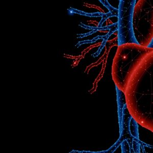Mayo Clinic Echo Imaging in Colorado Including Multimodality Imaging: Ski Telluride 2023 (Videos)