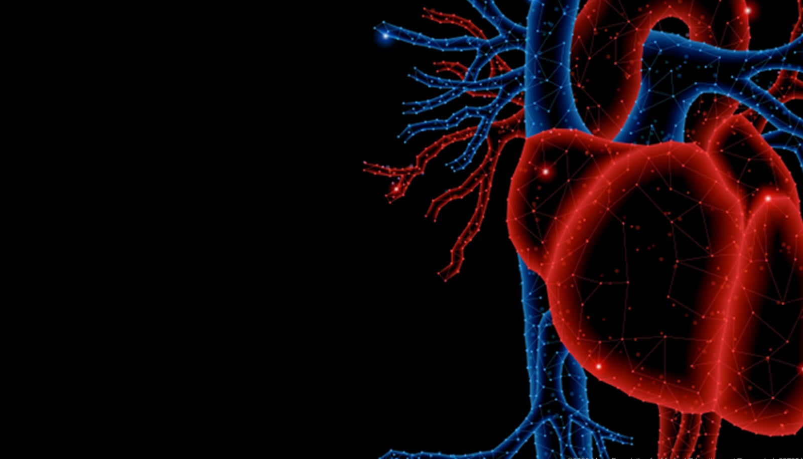 Mayo Clinic Echo Imaging in Colorado Including Multimodality Imaging: Ski Telluride 2023 (Videos)