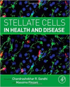 Stellate Cells in Health and Disease