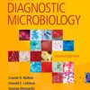 Textbook of Diagnostic Microbiology, 4e (Original PDF from Publisher)