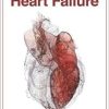 The 4 Stages of Heart Failure (ORIGINAL PDF from Publisher)