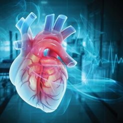 The Brigham Board Review and Comprehensive Update in Cardiology 2025 (Videos + Slides PDFs)