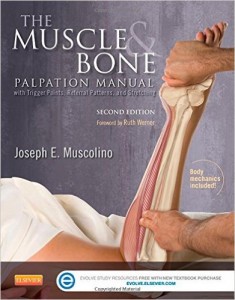 The Muscle and Bone Palpation Manual with Trigger Points, Referral Patterns and Stretching, 2nd Edition