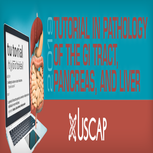 USCAP Tutorial in Pathology of the GI Tract, Pancreas and Liver 2019 (Videos)