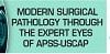 Modern Surgical Pathology Through the Expert Eyes of APSS-USCAP 2024, 5th Edition (Videos)