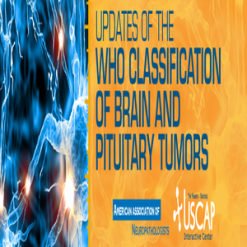 Updates of the WHO Classification of Brain and Pituitary Tumors 2019 (USCAP Video Courses) (Videos)