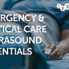 123sonography Emergency and Critical Care Ultrasound Essentials 2023 (Videos)
