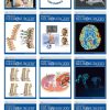 Operative Neurosurgery 2022 Full Archives (True PDF)