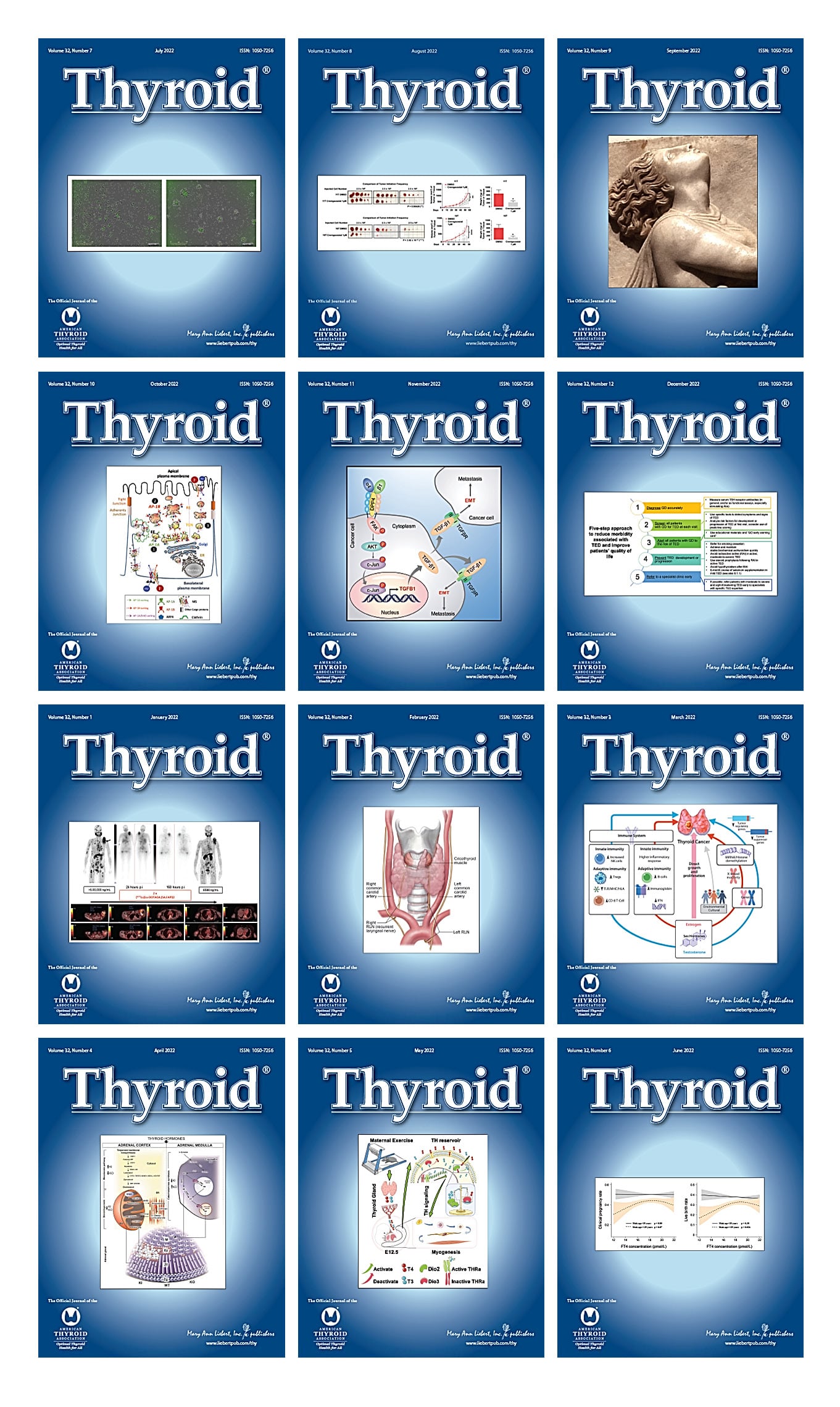 Thyroid 2022 Full Archives (True PDF)