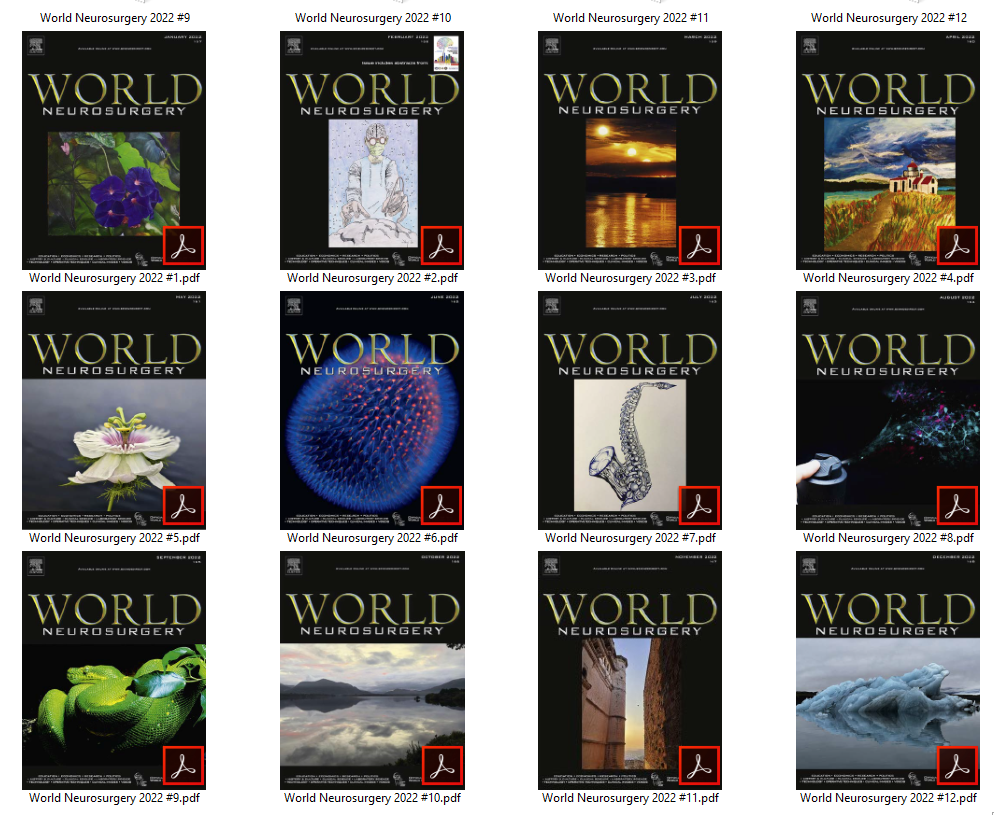 World Neurosurgery 2022 Full Archives (True PDF)