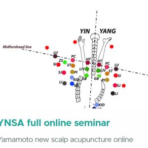 YNSA full online seminar 2024 (Videos + Slides)