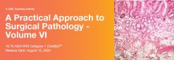 2020 A Practical Approach to Surgical Pathology – Volume VI (Videos)