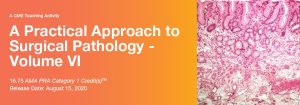 2020 A Practical Approach to Surgical Pathology – Volume VI (Videos)