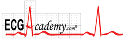 ECG ACADEMY 2020 (Videos)