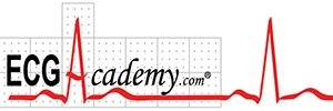 ECG ACADEMY 2020 (Videos)