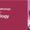 Classic Lectures in Pathology: What You Need to Know: Breast Pathology 2019 (Videos)