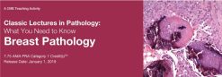 Classic Lectures in Pathology: What You Need to Know: Breast Pathology 2019 (Videos)