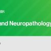 Classic Lectures in Pathology: What You Need to Know: Head and Neck and Neuropathology 2022 (Videos)