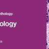 Classic Lectures in Pathology: What You Need to Know: Dermatopathology 2022 (Videos)