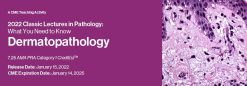 Classic Lectures in Pathology: What You Need to Know: Dermatopathology 2022 (Videos)