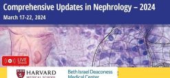 Harvard Comprehensive Updates in Nephrology 2024 (Videos + Slides)