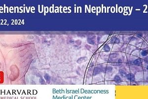 Harvard Comprehensive Updates in Nephrology 2024 (Videos + Slides)