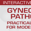 USCAP Gynecologic Pathology Practical Strategies for Modern Practice 2025 (Videos + Slides)