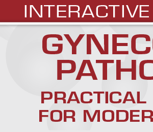 USCAP Gynecologic Pathology Practical Strategies for Modern Practice 2025 (Videos + Slides)