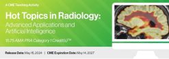 2024 Hot Topics in Radiology: Advanced Applications and Artificial Intelligence – DocMedED (Videos)