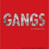 Gangs: An Introduction (Original PDF from Publisher)