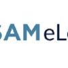 Board Exam Study Tool (BEST) 2023 – ASAM (Mock + Practice Exams + Flash Cards)