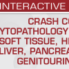 Crash Course in Cytopathology: Thorax, Soft Tissue, Head and Neck, Liver, Pancreatobiliary and Genitourinary Tract – USCAP (Videos)